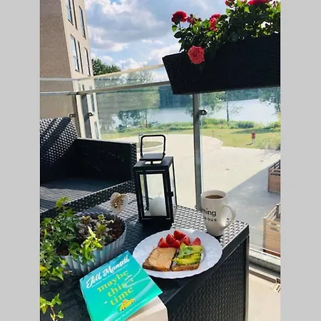 On A Lake Shore Apartment